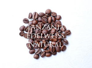 Tanzania Edelweiss|タンザニア エーデルワイス
