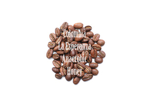 Colombia La Esperanza|コロンビア ラ エスペランサ