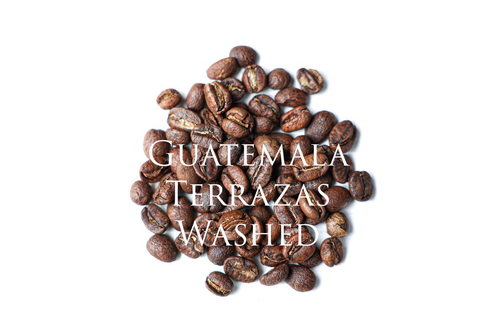 Guatemala Terrazas | グアテマラ テラザス