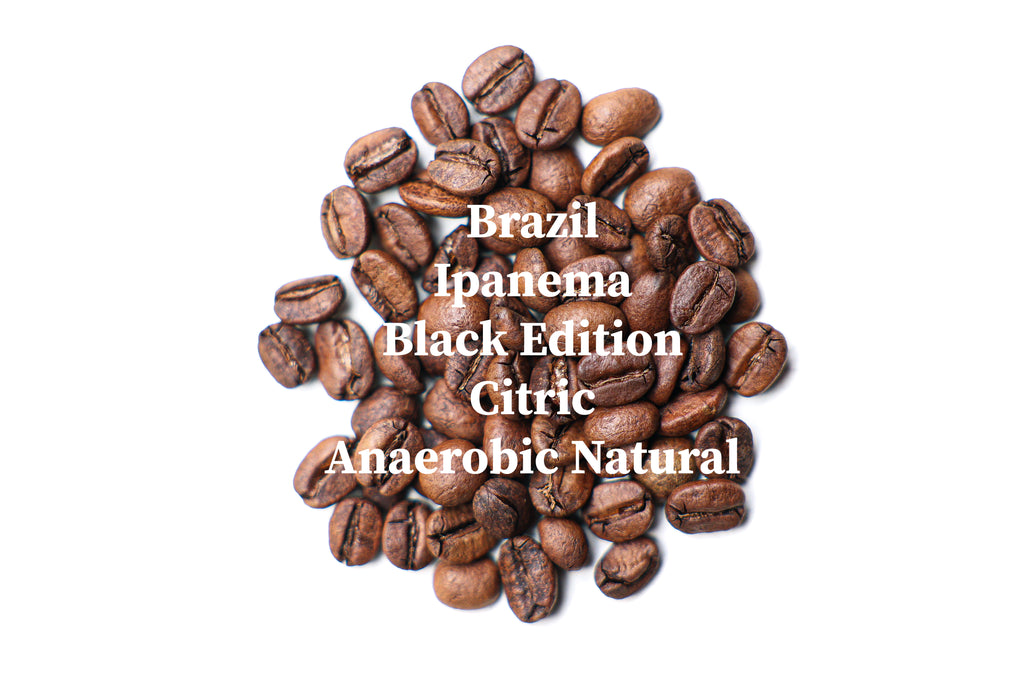 Brazil Ipanema Black Edition / Citric | ブラジル イパネマ ブラックエディション シトリック