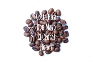 Costa Rica Don Mayo El Cedral|コスタリカ ドンマヨ エルセドラル