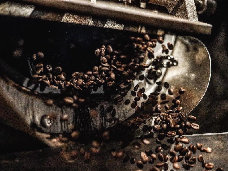 Colombia La Esperanza|コロンビア ラ エスペランサ